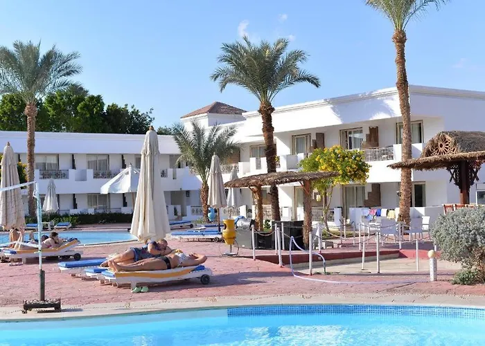 Viva & - Sheikh Hotel 3*