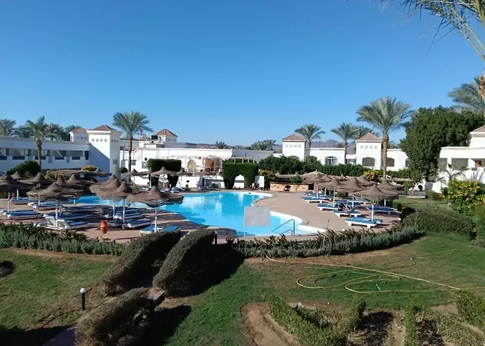 Hotel Viva & - Sheikh 3*