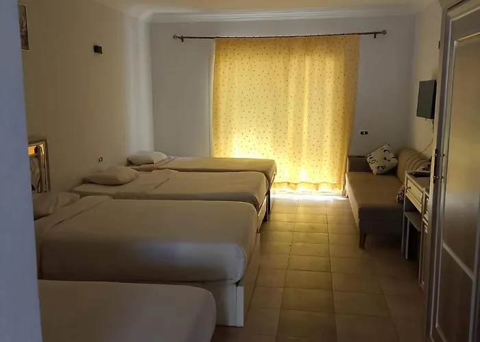 Hotel Viva & - Sheikh 3*
