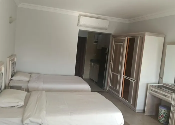 Hotel Viva & - Sheikh